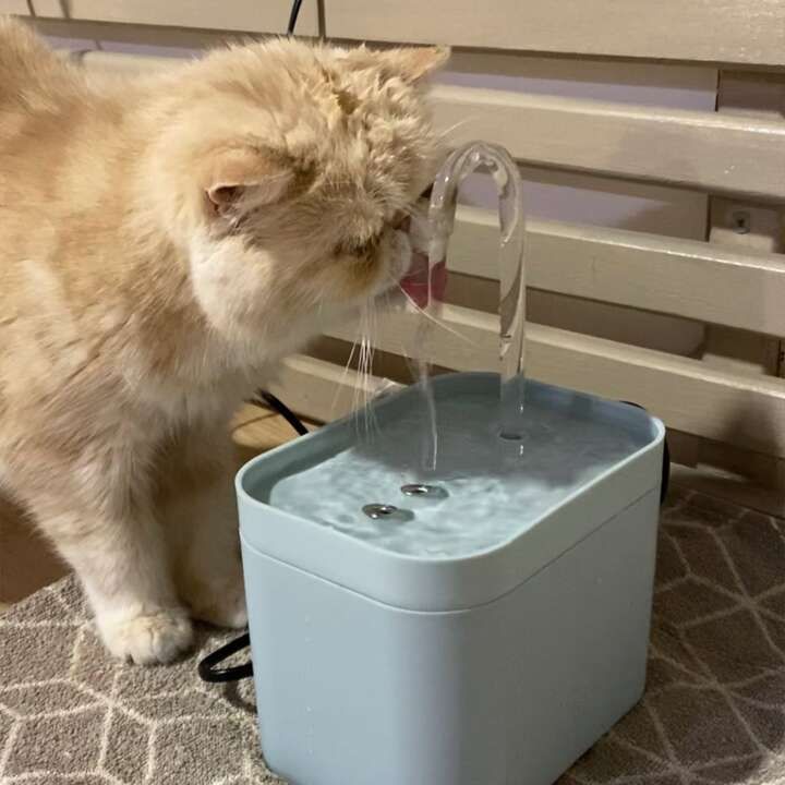 Sherum Pet Water Fountain